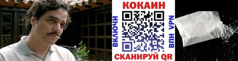 Купить  Десногорск  COCAIN Fish Scale 