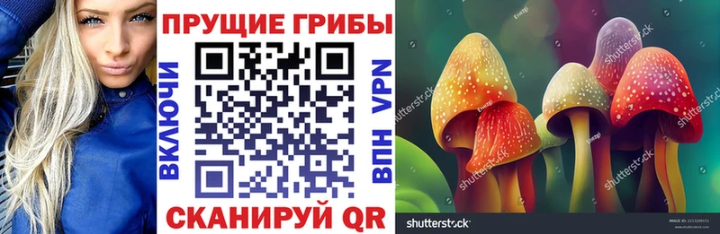 Купить закладки Десногорск Галлюциногенные грибы мицелий