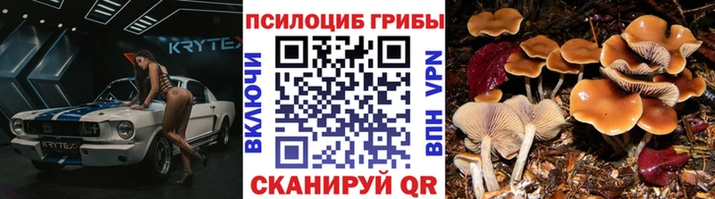Галлюциногенные грибы MAGIC MUSHROOMS Десногорск
